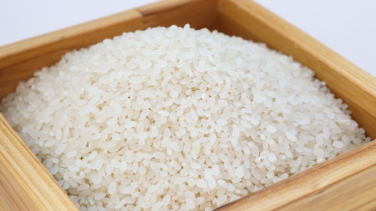 rice-white-rice-korea-3997767